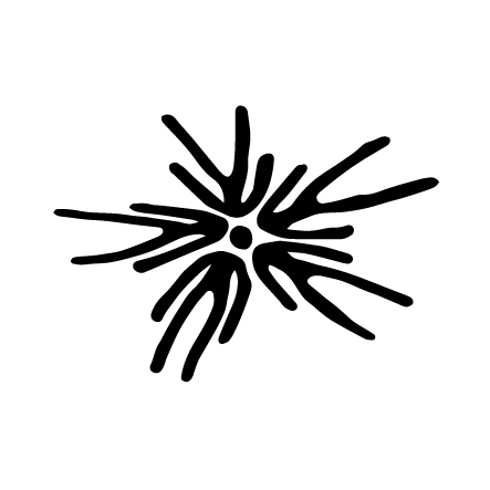 casamarziani